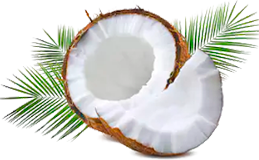 Экстракт кокоса